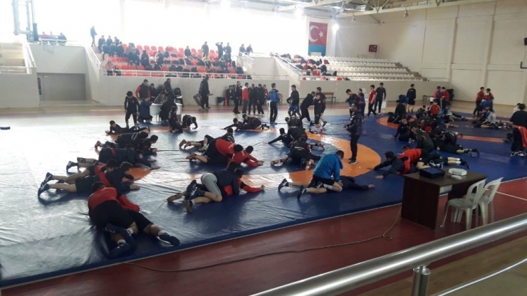 Güreş Eğitim Merkezi Sporcuları Madalyalara Ambargo Koydu