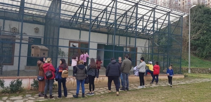 Cephanelik Mesire Alanına Vatandaşlardan Yoğun İlgi