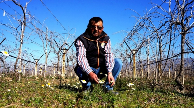 Sarıgöl’de Yalancı Bahar