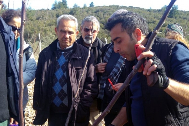 Menteşe’de Ceviz Yetiştiriciliği Kursu