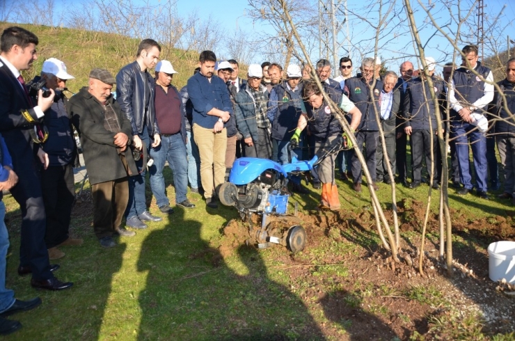 Fındık Bahçelerinde Doğru Uygulamalar Verimi Arttırıyor
