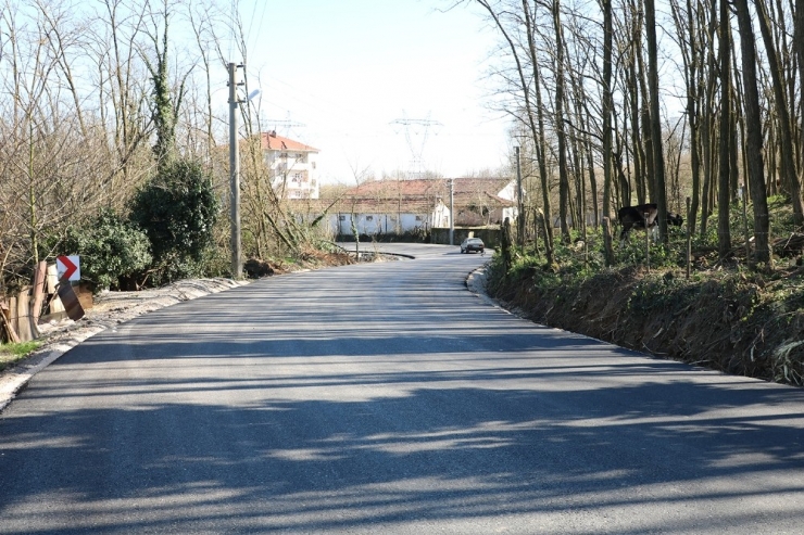 Büyükşehir Ekibi Alandüzü Ve Beşevler’i Asfaltladı