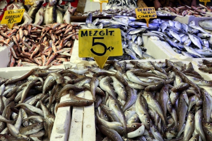 Karadeniz Hamsisi Gürcistan’a Kaçtı