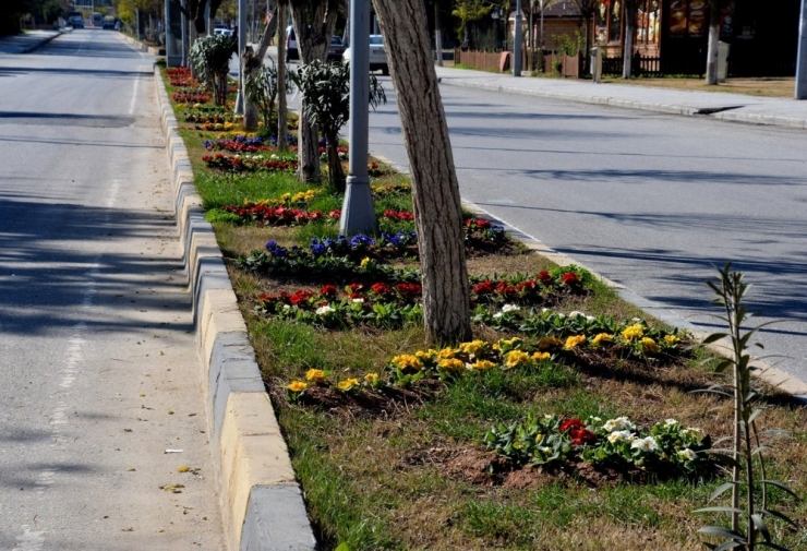 Birecik Peyzaj Çalışmaları Göz Kamaştırıyor