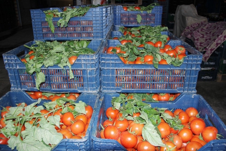 Komisyoncular: "Fiyatları Biz Yükseltmiyoruz"