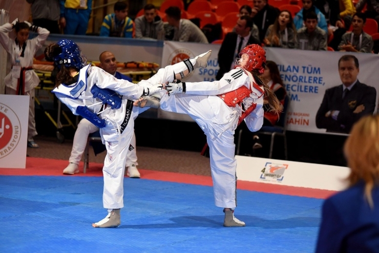 Taekwondo 4. Wt Başkanlık Kupası’na Türkiye Damgası