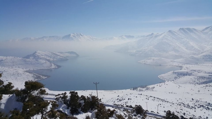Van’da Yaban Hayvanlarına Yem Desteği