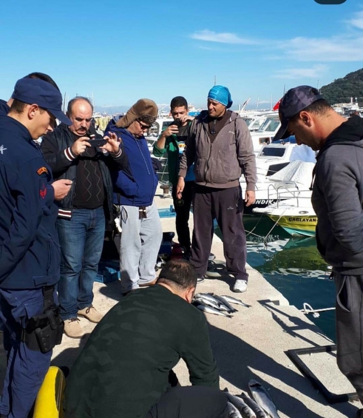 Ekipler Boylarını Tek Tek Ölçtü, Standartlara Uymayanlara Ceza Kesti
