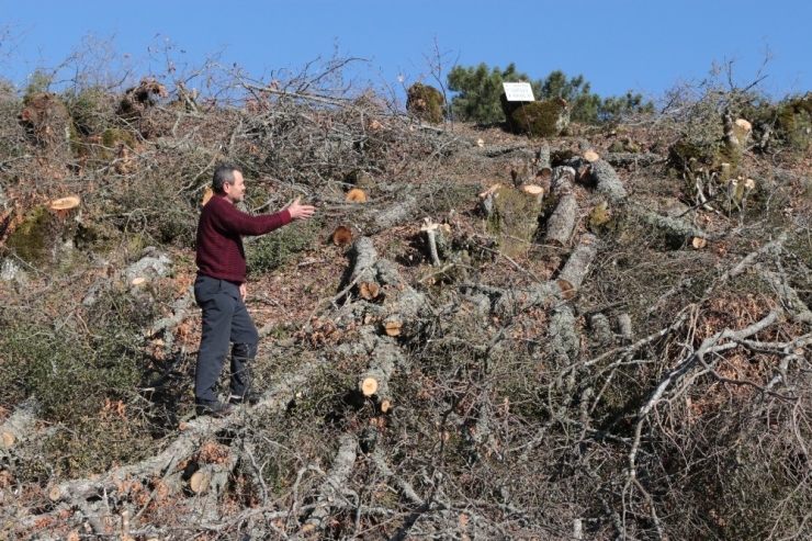 Köylülerin Taş Ocağı İsyanı: "Atalarımıza Sahip Çıktık, Kendi Toprağımıza Sahip Çıkamadık"