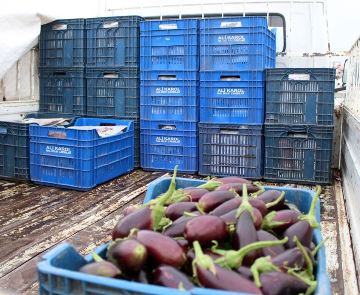 Patlıcanın Fiyatı 1 Haftada Yarı Yarıya Düştü