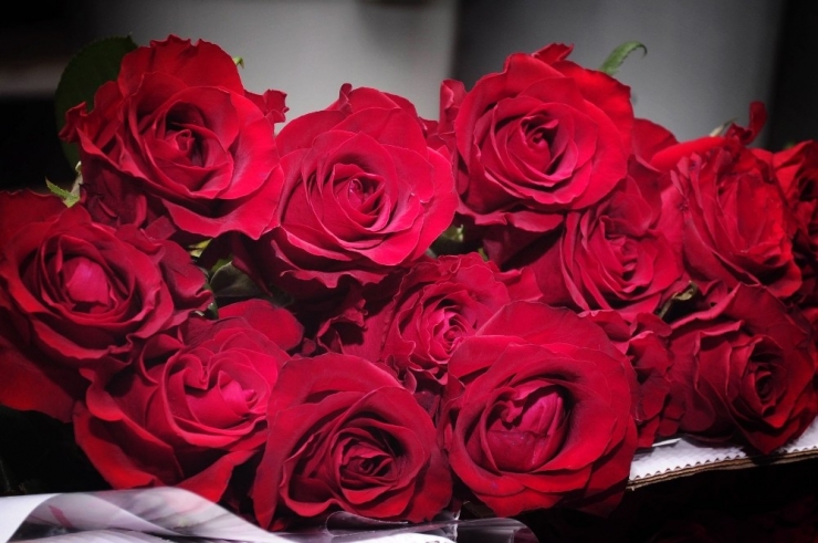 Sevgililer Rahat ‘Gül’ecek