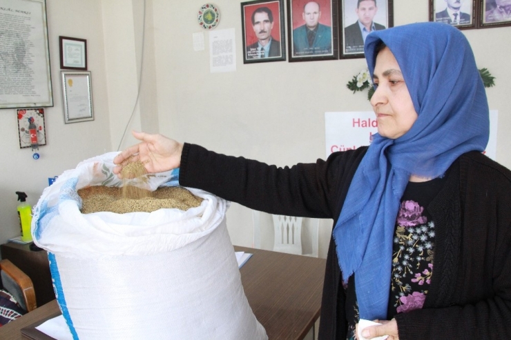 Kinoa Mağdurlarına Ak Parti’li Vekil Canbey Sahip Çıktı