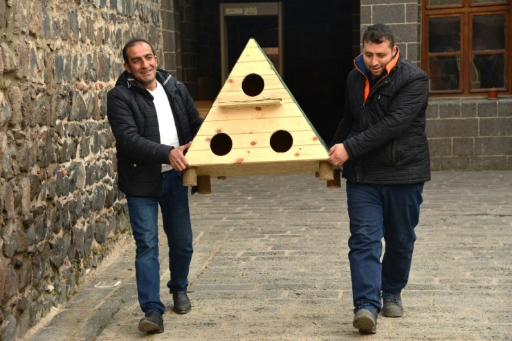 Diyarbakır’da Kedi Evi Projesi Devam Ediyor