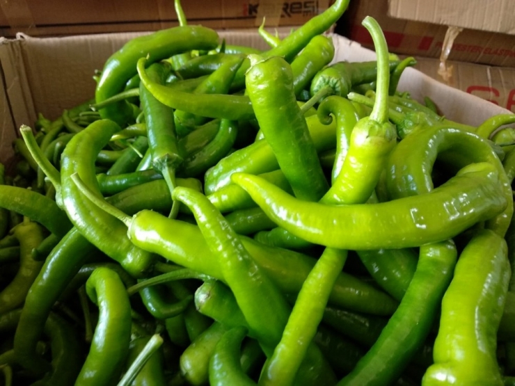 Denizli Halinde Biber 6, Salatalık 5, Patates 3 Tl