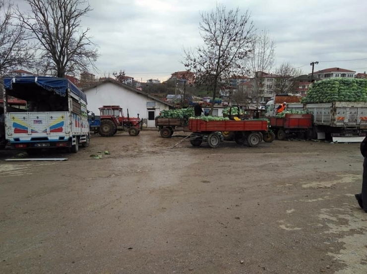 Lahana Fiyatı Üreticinin Yüzünü Güldürüyor