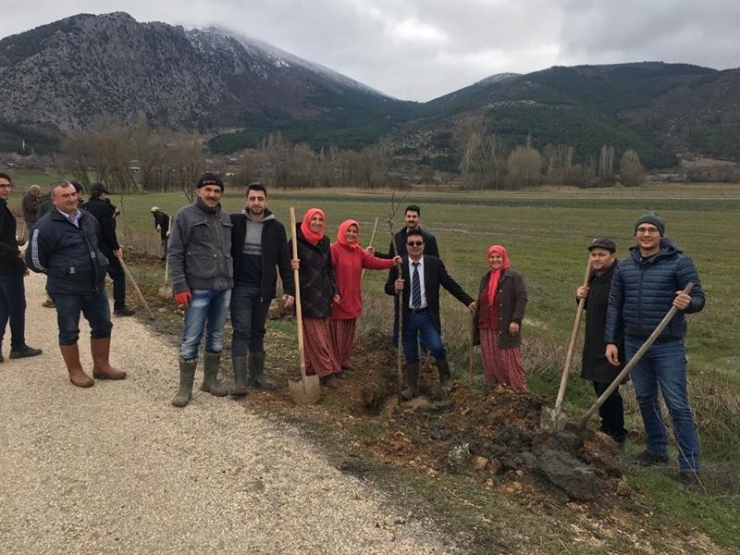 Gölpazarı’nda Fidan Dikim Şenliği