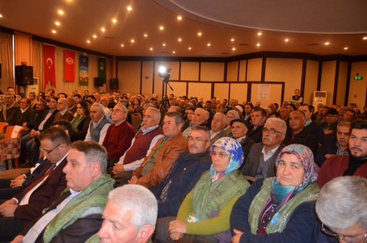 13 Bin Ton Kekikten, 40 Milyon Dolar Gelir