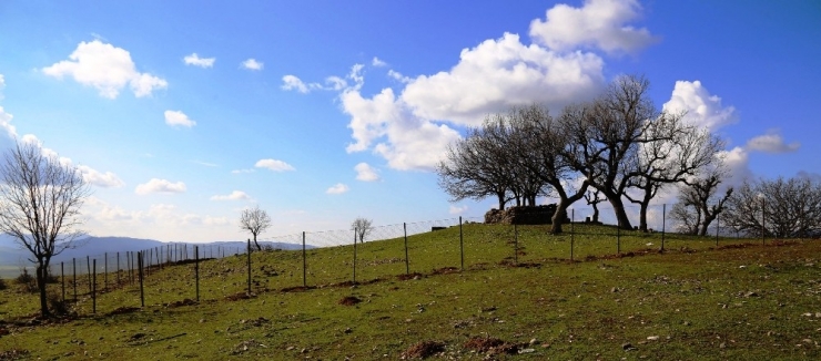 Lice Belediyesi, Mezarlıkların Etrafını Tel Örgüyle Kapattı