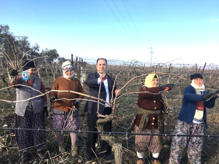Bağımsız Aday Gökçe’den ’Sözleşmeli Üretim’ Projesi