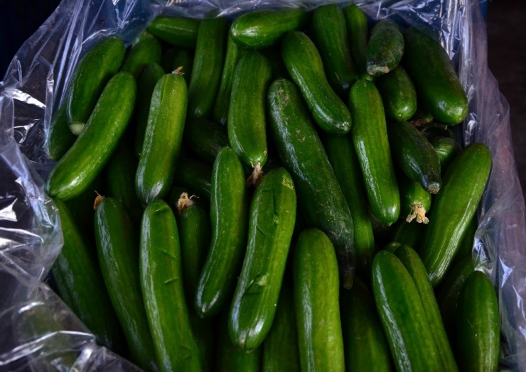 Fiyatlar Tanzimde Düşüyor, Halde Artıyor