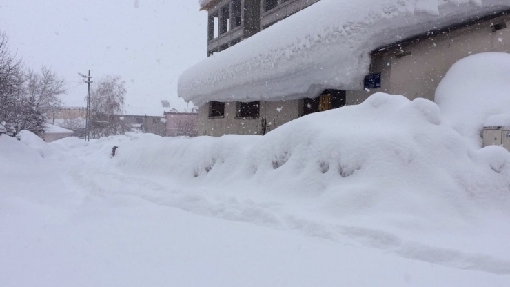 Karlıova Bu Kış Adıyla Özdeşleşti