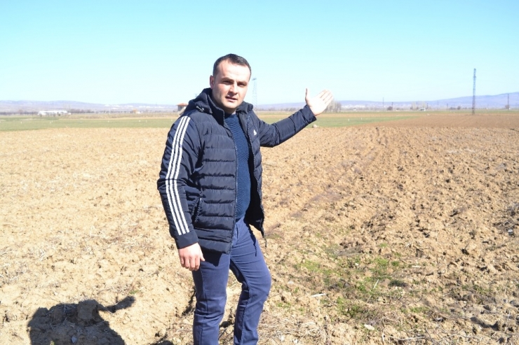 Afyonkarahisar’da Patates Ekim Yasağı Kısmi Alanda Olacak