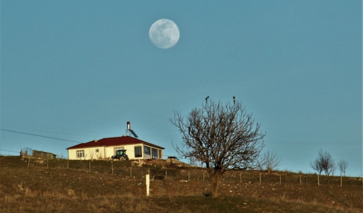 Tunceli’de "Dolunay"