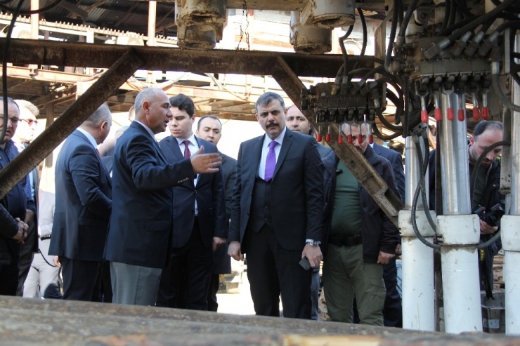 Dodurga’da 14 Milyon Ton Kömür Rezervi Bulunuyor