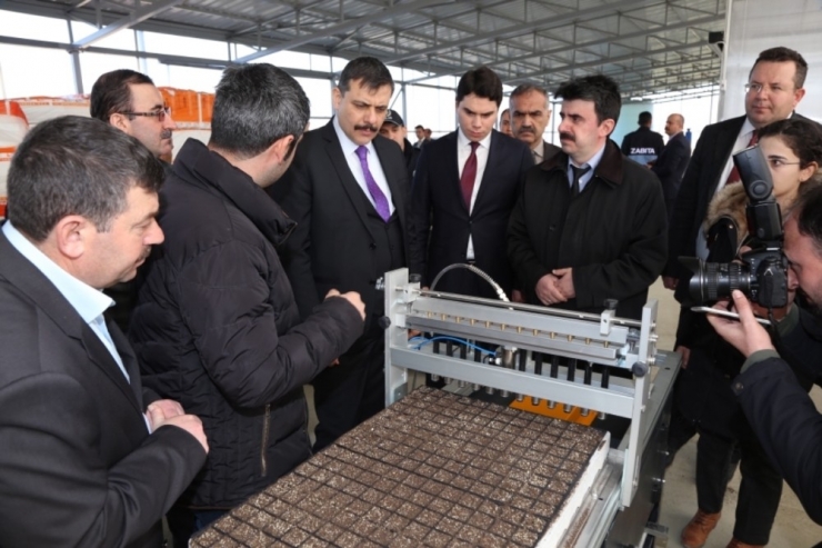 Tıbbi Ve Aromatik Bitkiler Vadisi Tamamlandı