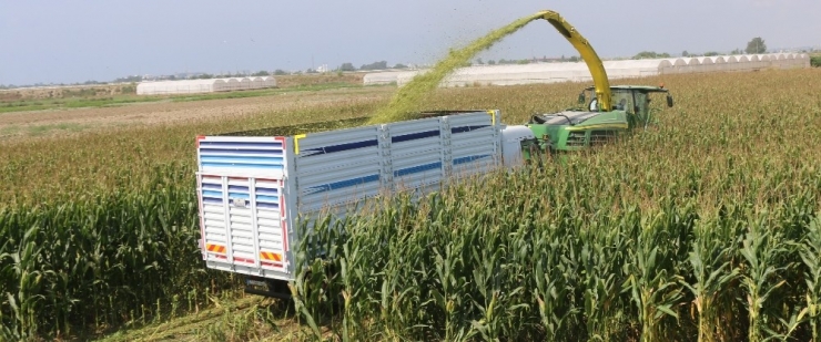 Antbirlik’ten Çiftçiye ’Satışı Garanti’ Hizmet