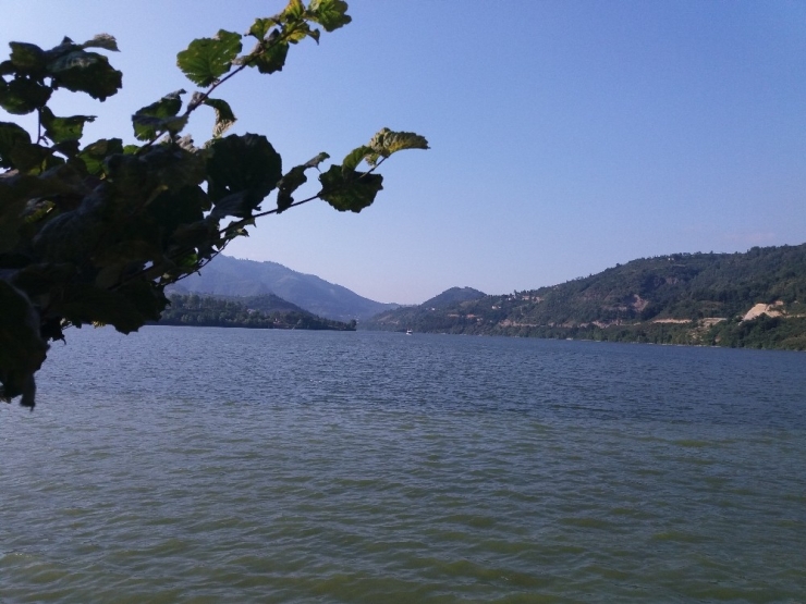 Prof. Dr. Demir: "Suyun Dengesini Bozarsak Tabiatın Da Dengesini Bozarız"