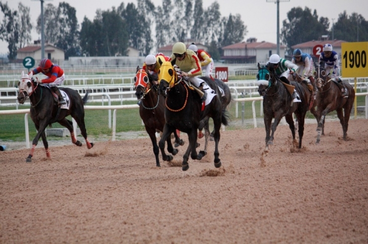 Adana Büyükşehir Belediye Başkanlığı Koşusunu "Bit Coin" Kazandı