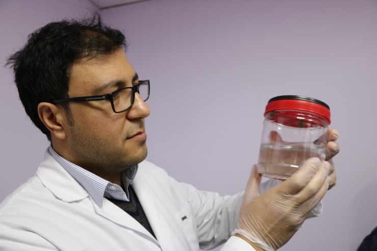 Alternatif Tıp Sülük Ve Ozon Tedavisine Yoğun İlgi