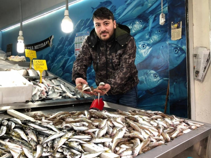 Tezgahlarda Soğuk Hava Bereketi