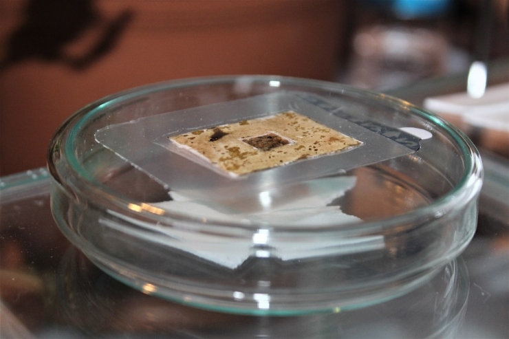 Yaraları 15 Dakikada İyileştiren ’Organik Yara Bandı’ Üretildi