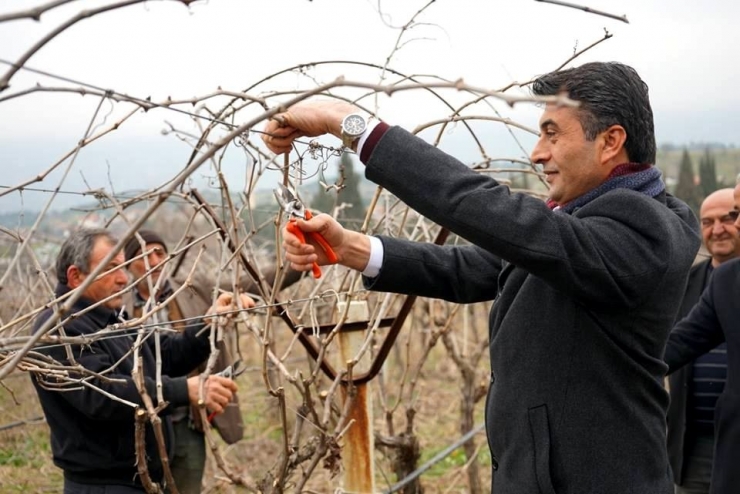 Başkan Selçuk Üzüm Bağlarında İşçilerle Buluştu