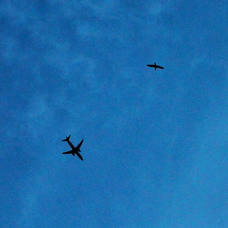 Eskişehirli Lise Öğrencisinin Fotoğrafı Birinci Seçildi