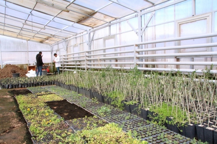 Üniversite De Tarımsal Uygulama Ve Araştırma Merkezinden Üretim Atağı