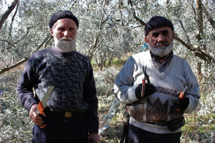 Ekmeğini Ağaçlardan Çıkaran 75’lik Dede Gençlere Taş Çıkarıyor