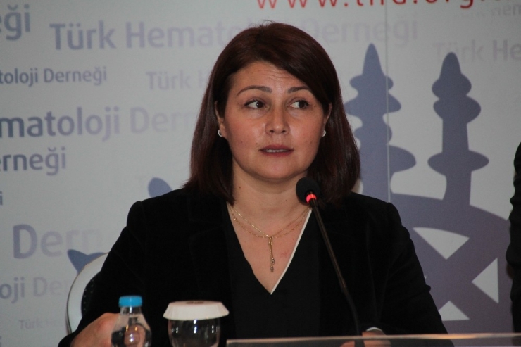Thd Yönetim Kurulu Araştırma Sekreteri Prof. Dr. Meltem Kurt Yüksel: