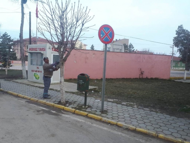 İnönü’de Ağaçlar Budanmaya Başlandı