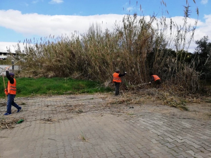 Nazilli Belediyesi Temizlik Çalışmalarını Aralıksız Sürdürüyor