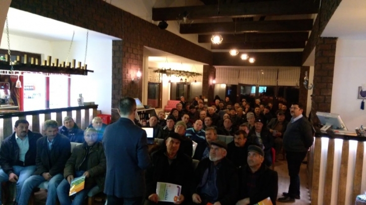 Türkiye Haşhaş Üretiminde İlk Sırada