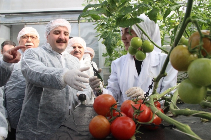 Bakan Varank: “Akıllı Dijital Teknolojileri Geliştiren Kobi‘lere, Uygulama Ve Ticarileşme Desteği Vereceğiz“