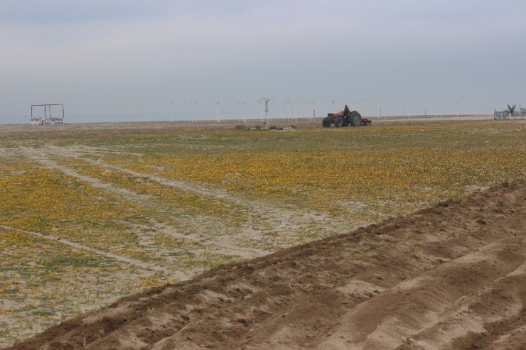 Burhaniye’de Plajlar Yaza Hazırlanıyor