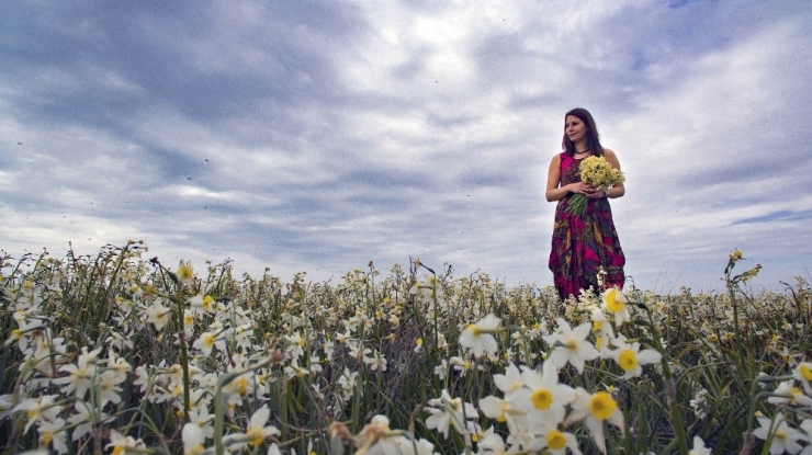 Kuş Cennetinde Saklı Nergis Adasını Keşfettiler