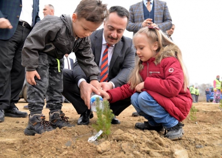 Çocukların İsimleri Bulunan 500 Fidan Toprakla Buluştu