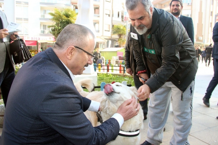 Ak Partili Yılmaz: "Sokak Hayvanlarını Doğal Yaşam Parkına Kavuşturacağız"