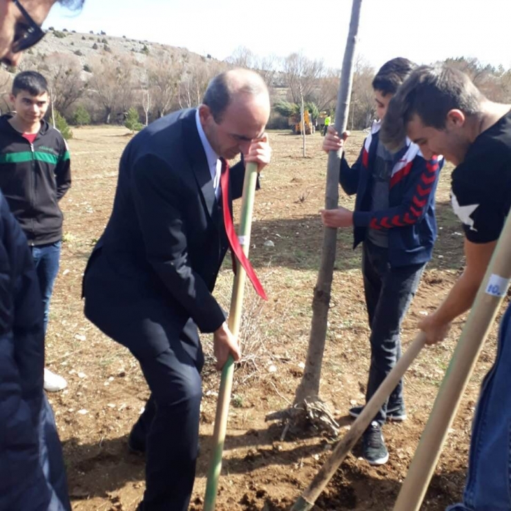 400 Fidan Toprakla Buluştu