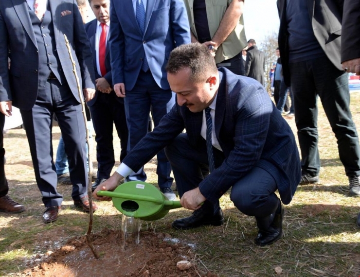 Bilecik’in Köyleri Fidanlarla Renklenecek